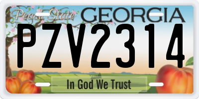 GA license plate PZV2314