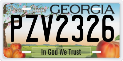 GA license plate PZV2326