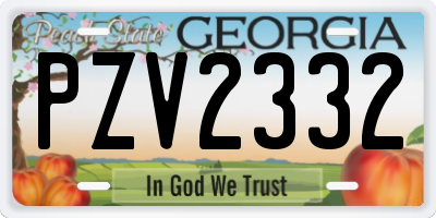 GA license plate PZV2332