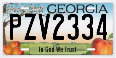 GA license plate PZV2334