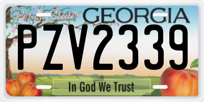 GA license plate PZV2339