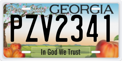GA license plate PZV2341