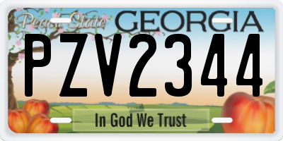GA license plate PZV2344