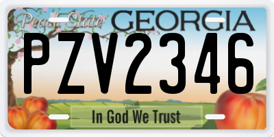 GA license plate PZV2346