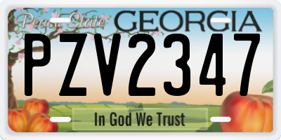 GA license plate PZV2347