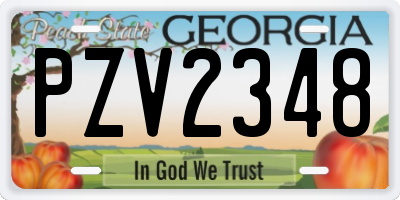 GA license plate PZV2348