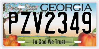 GA license plate PZV2349