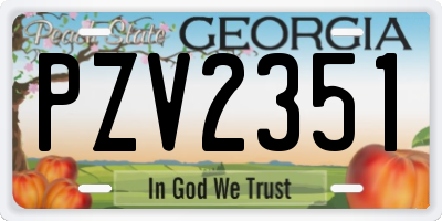 GA license plate PZV2351