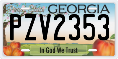GA license plate PZV2353