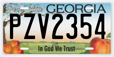 GA license plate PZV2354