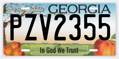 GA license plate PZV2355