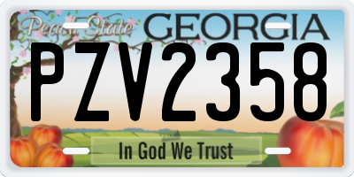 GA license plate PZV2358