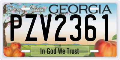GA license plate PZV2361