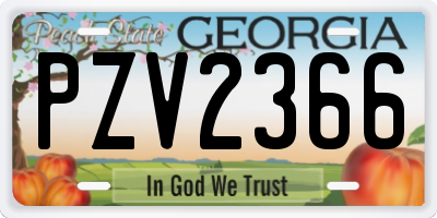 GA license plate PZV2366