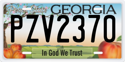 GA license plate PZV2370
