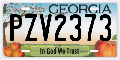 GA license plate PZV2373