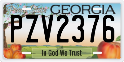 GA license plate PZV2376