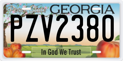 GA license plate PZV2380
