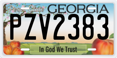 GA license plate PZV2383