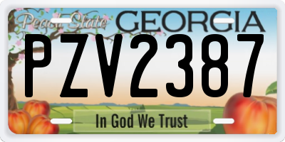 GA license plate PZV2387