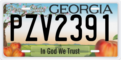 GA license plate PZV2391