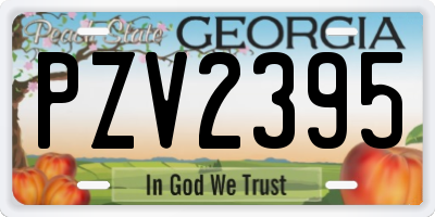 GA license plate PZV2395