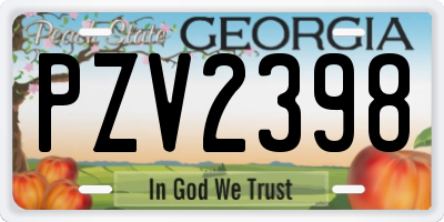 GA license plate PZV2398
