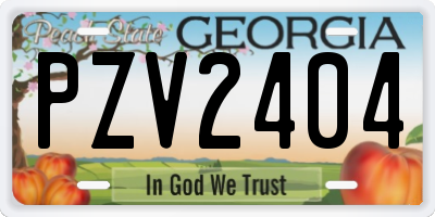 GA license plate PZV2404