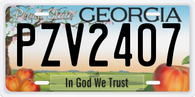 GA license plate PZV2407