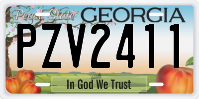 GA license plate PZV2411