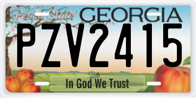 GA license plate PZV2415