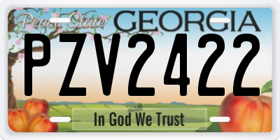 GA license plate PZV2422