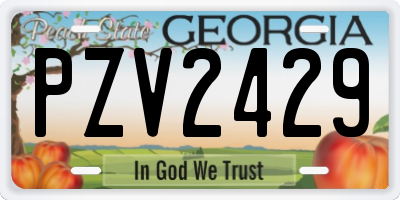GA license plate PZV2429