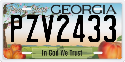 GA license plate PZV2433