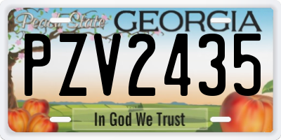 GA license plate PZV2435