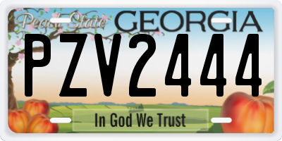 GA license plate PZV2444