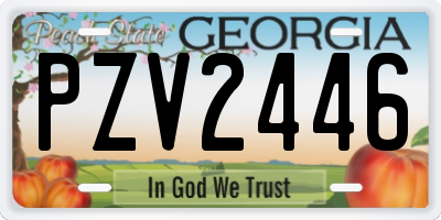 GA license plate PZV2446