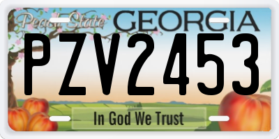 GA license plate PZV2453