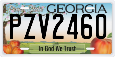 GA license plate PZV2460