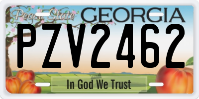 GA license plate PZV2462