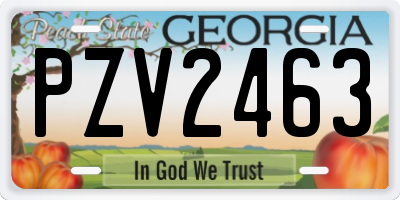 GA license plate PZV2463