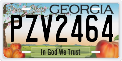 GA license plate PZV2464