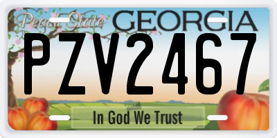 GA license plate PZV2467