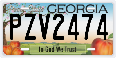 GA license plate PZV2474
