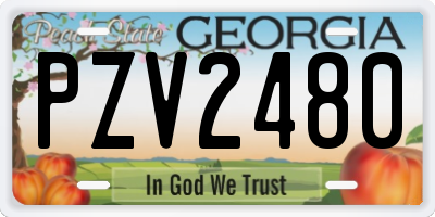 GA license plate PZV2480