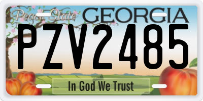 GA license plate PZV2485