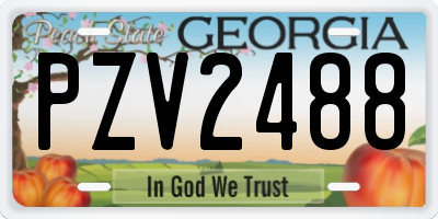 GA license plate PZV2488