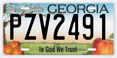 GA license plate PZV2491