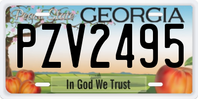 GA license plate PZV2495
