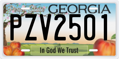 GA license plate PZV2501